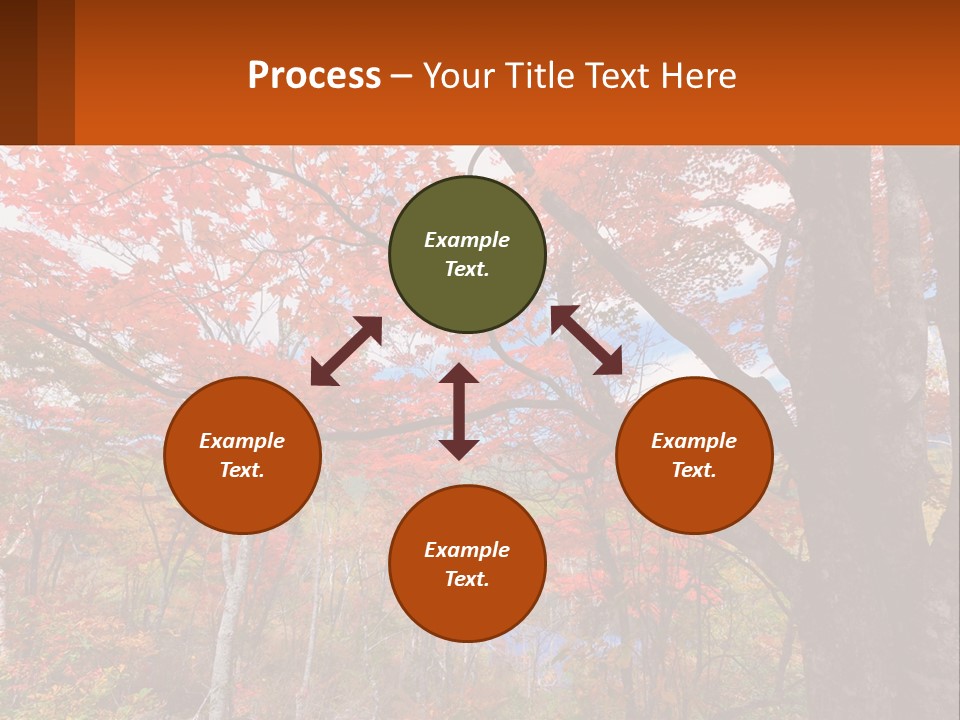 A Tree With Red Leaves In A Forest PowerPoint Template