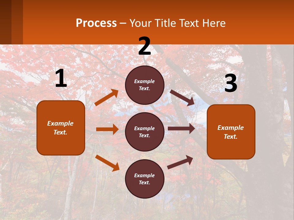 A Tree With Red Leaves In A Forest PowerPoint Template