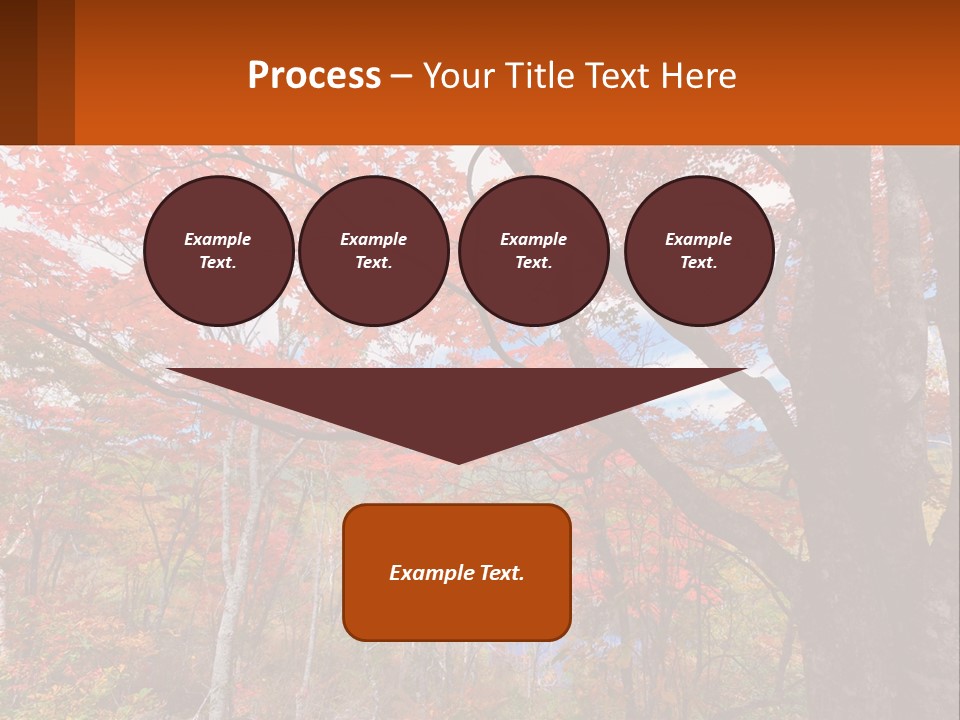 A Tree With Red Leaves In A Forest PowerPoint Template