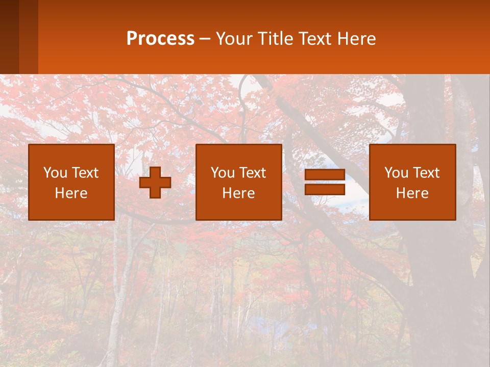 A Tree With Red Leaves In A Forest PowerPoint Template