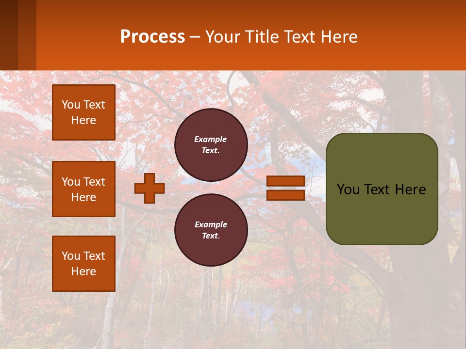 A Tree With Red Leaves In A Forest PowerPoint Template