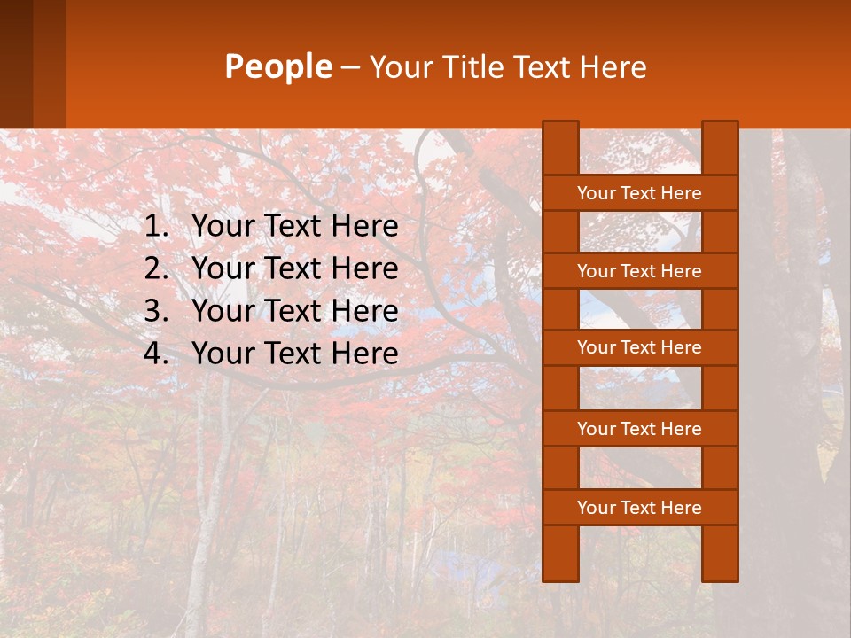A Tree With Red Leaves In A Forest PowerPoint Template
