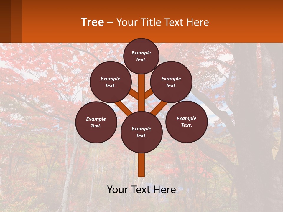 A Tree With Red Leaves In A Forest PowerPoint Template
