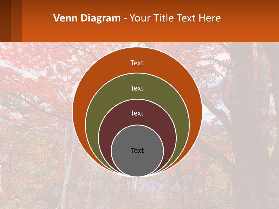 A Tree With Red Leaves In A Forest PowerPoint Template