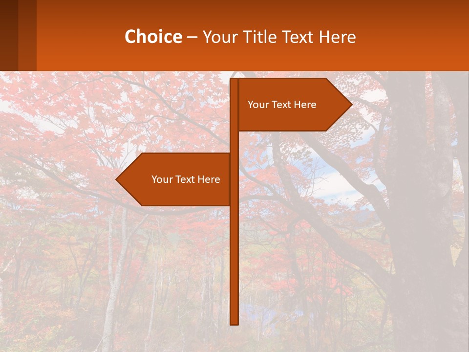 A Tree With Red Leaves In A Forest PowerPoint Template