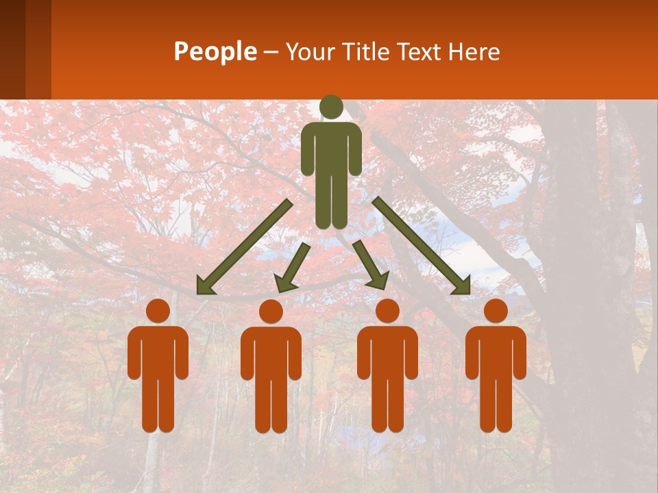 A Tree With Red Leaves In A Forest PowerPoint Template
