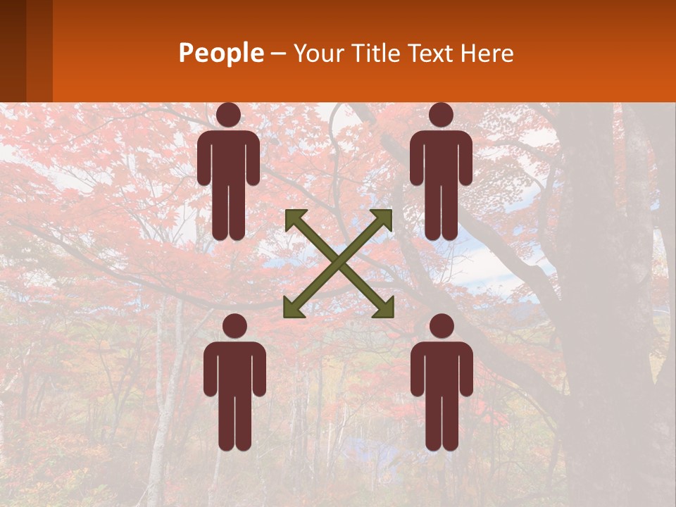 A Tree With Red Leaves In A Forest PowerPoint Template