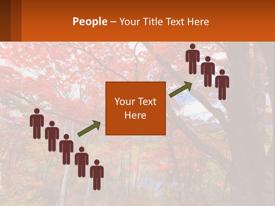 A Tree With Red Leaves In A Forest PowerPoint Template