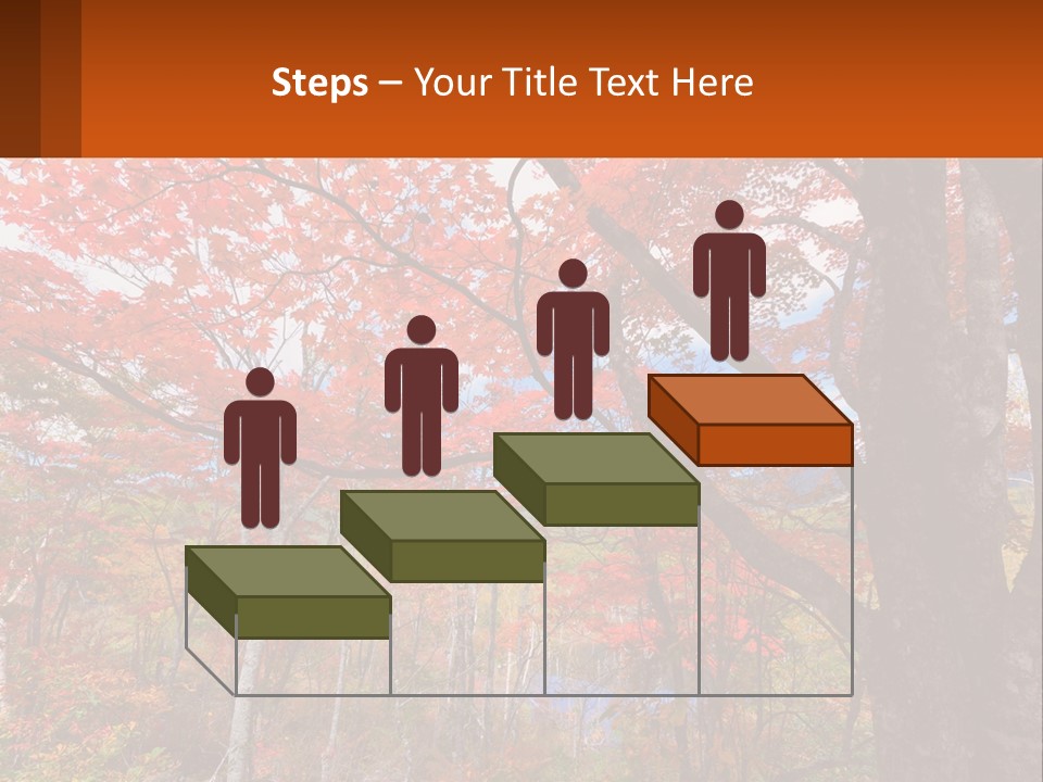 A Tree With Red Leaves In A Forest PowerPoint Template