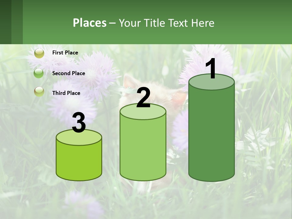 A Kitten Sitting In A Field Of Purple Flowers PowerPoint Template