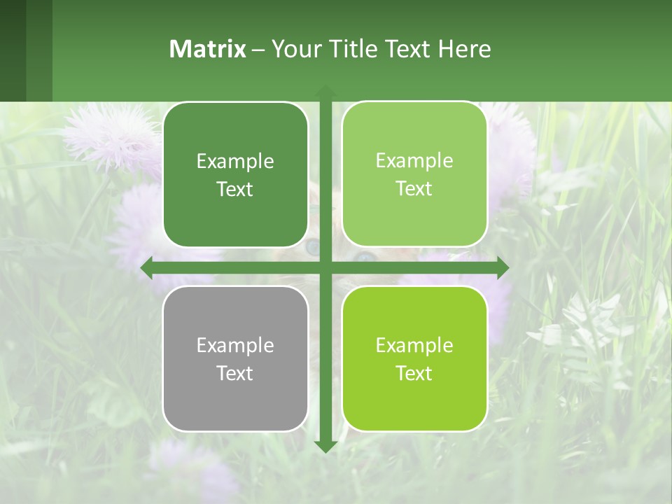 A Kitten Sitting In A Field Of Purple Flowers PowerPoint Template