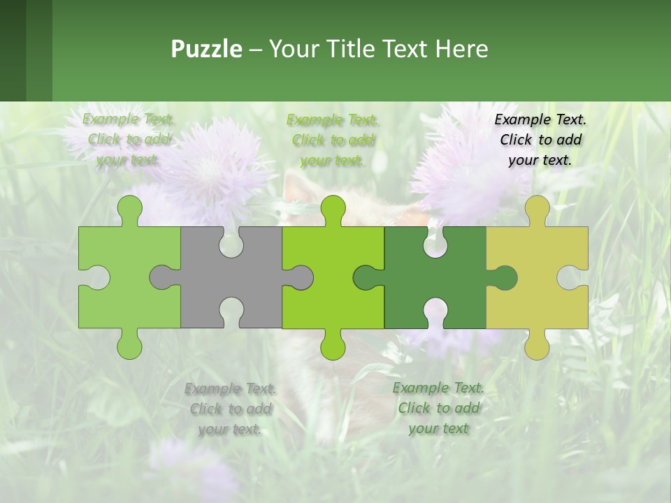 A Kitten Sitting In A Field Of Purple Flowers PowerPoint Template