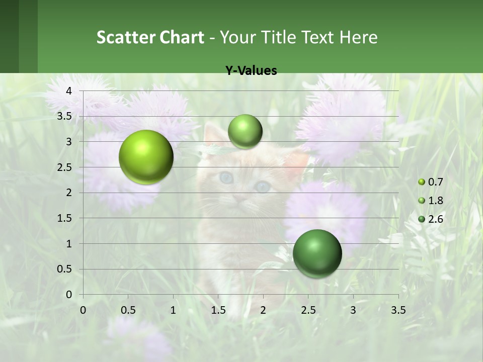 A Kitten Sitting In A Field Of Purple Flowers PowerPoint Template
