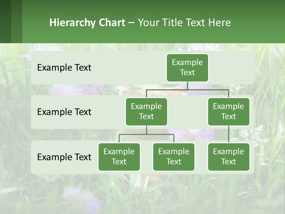 A Kitten Sitting In A Field Of Purple Flowers PowerPoint Template