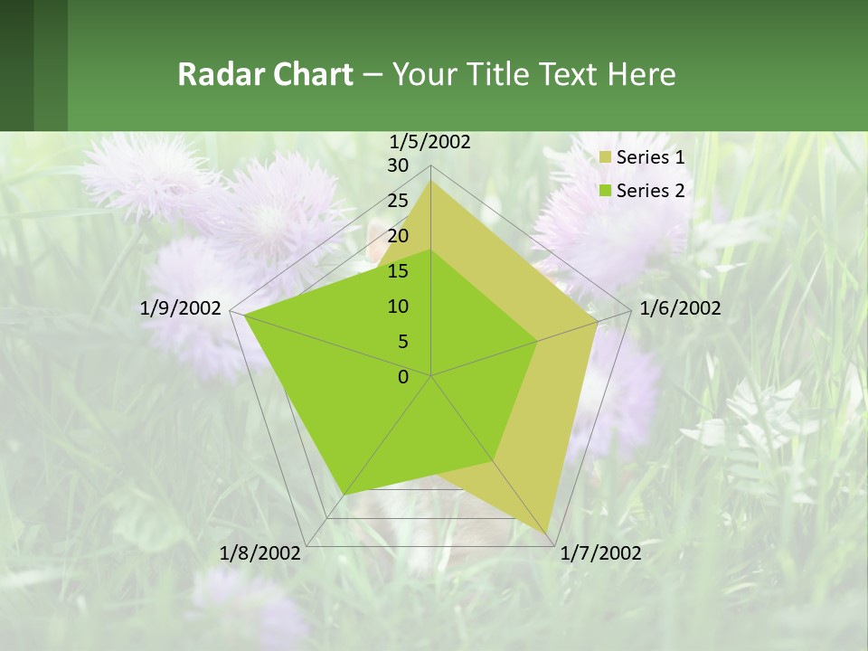 A Kitten Sitting In A Field Of Purple Flowers PowerPoint Template
