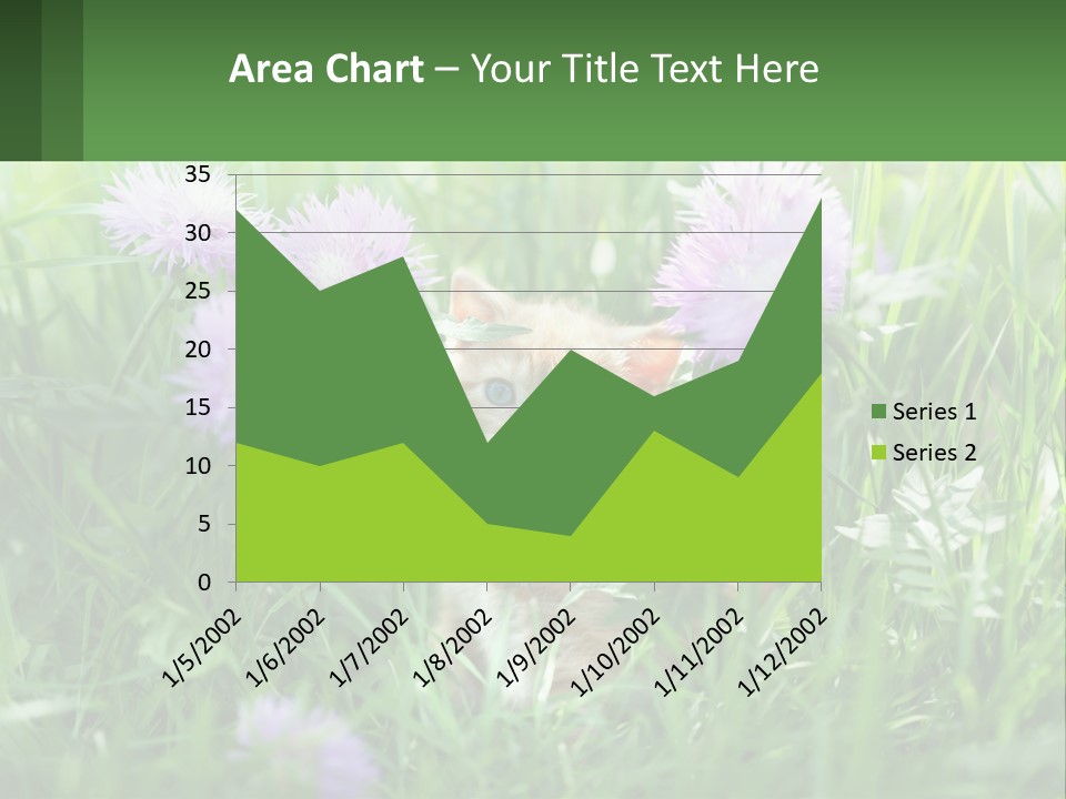 A Kitten Sitting In A Field Of Purple Flowers PowerPoint Template
