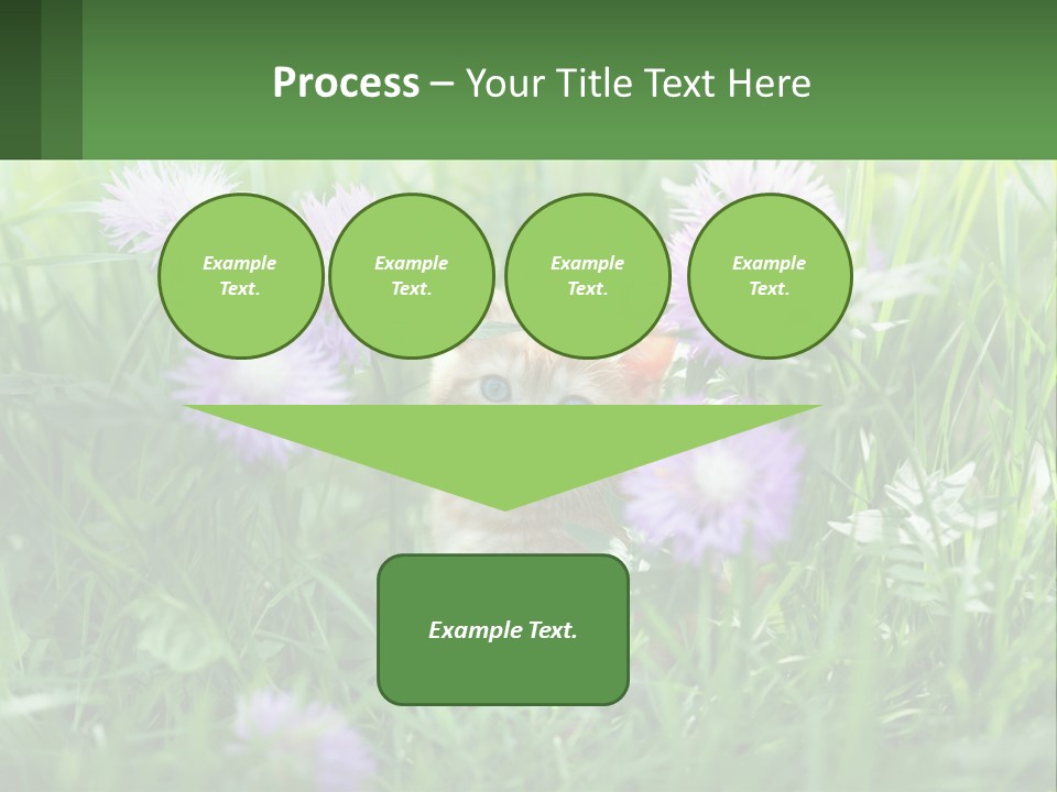 A Kitten Sitting In A Field Of Purple Flowers PowerPoint Template