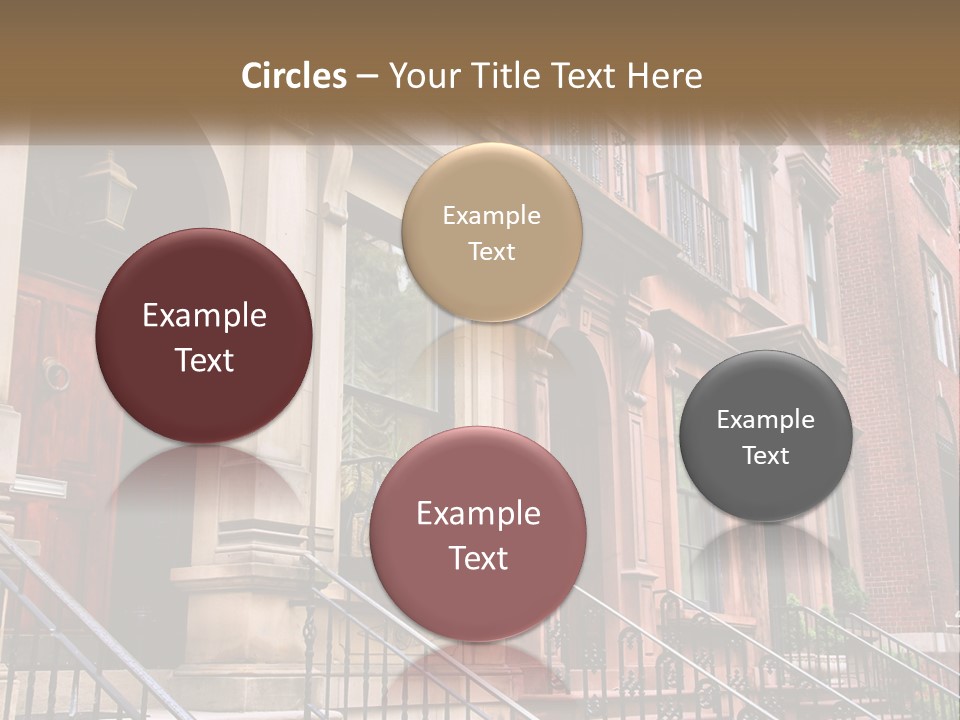 A Row Of Browns Browns Browns Browns Browns Browns Browns Browns Browns Browns Browns Browns Browns PowerPoint Template