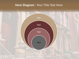 A Row Of Browns Browns Browns Browns Browns Browns Browns Browns Browns Browns Browns Browns Browns PowerPoint Template