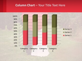 A Bride And Groom Holding A Red Umbrella PowerPoint Template