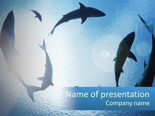 A Group Of Sharks Swimming In The Ocean PowerPoint Template