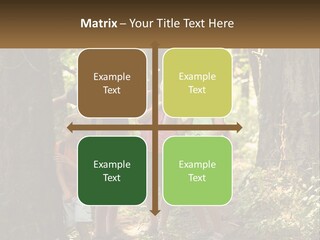 A Group Of Children Standing In The Woods PowerPoint Template