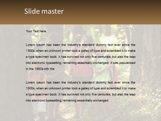 A Group Of Children Standing In The Woods PowerPoint Template