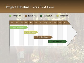 A Group Of Children Standing In The Woods PowerPoint Template