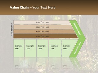 A Group Of Children Standing In The Woods PowerPoint Template