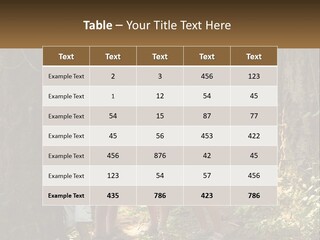 A Group Of Children Standing In The Woods PowerPoint Template