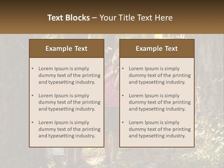 A Group Of Children Standing In The Woods PowerPoint Template