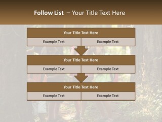 A Group Of Children Standing In The Woods PowerPoint Template