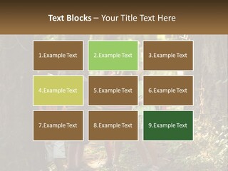 A Group Of Children Standing In The Woods PowerPoint Template