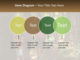 A Group Of Children Standing In The Woods PowerPoint Template