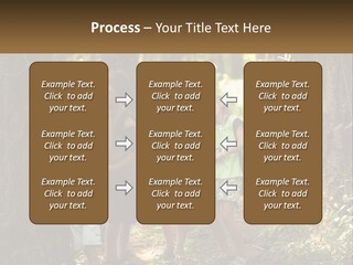 A Group Of Children Standing In The Woods PowerPoint Template