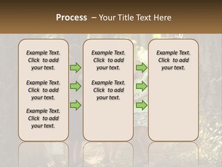 A Group Of Children Standing In The Woods PowerPoint Template