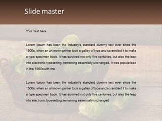 A Basket Of Brussel Sprouts On A Wooden Table PowerPoint Template