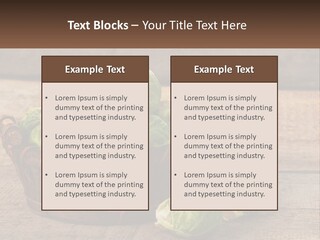 A Basket Of Brussel Sprouts On A Wooden Table PowerPoint Template
