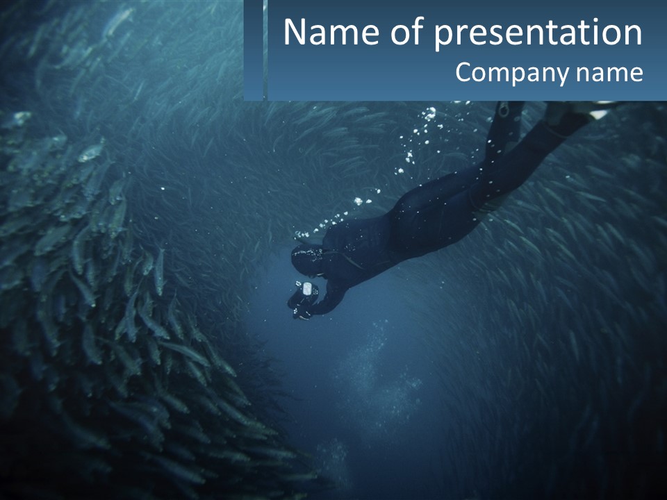 A Person Swimming In The Water Surrounded By Fish PowerPoint Template