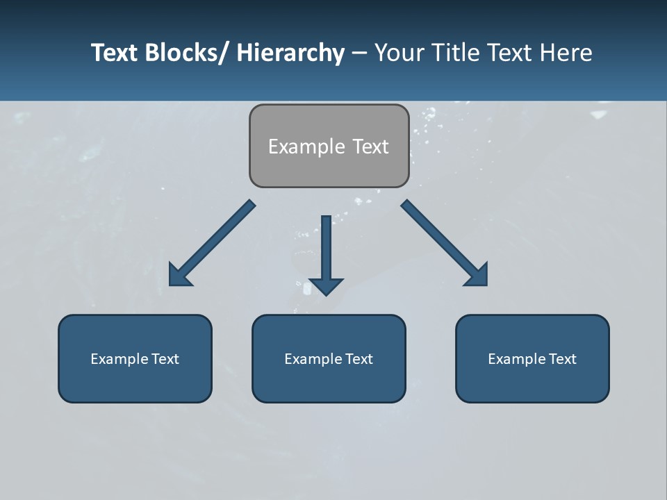 A Person Swimming In The Water Surrounded By Fish PowerPoint Template