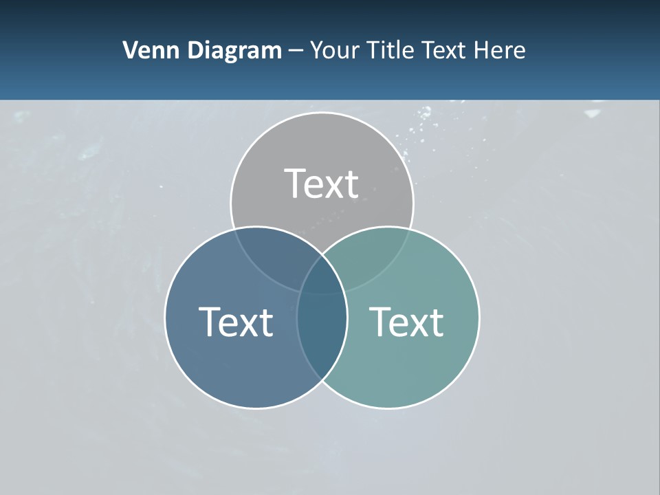 A Person Swimming In The Water Surrounded By Fish PowerPoint Template