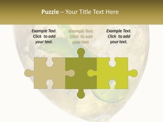 A Picture Of A Plant In A Glass Of Water PowerPoint Template