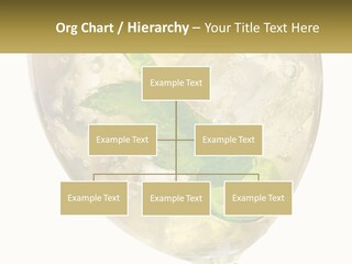 A Picture Of A Plant In A Glass Of Water PowerPoint Template