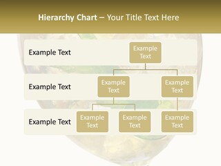 A Picture Of A Plant In A Glass Of Water PowerPoint Template