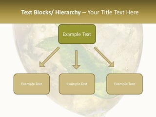A Picture Of A Plant In A Glass Of Water PowerPoint Template