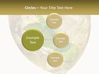 A Picture Of A Plant In A Glass Of Water PowerPoint Template