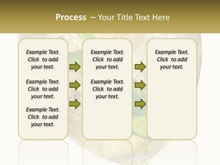 A Picture Of A Plant In A Glass Of Water PowerPoint Template