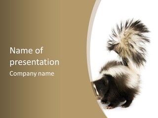 A Skunky Skunky Skunky Skunky Skunky PowerPoint Template