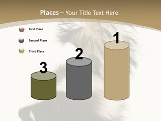 A Skunky Skunky Skunky Skunky Skunky PowerPoint Template
