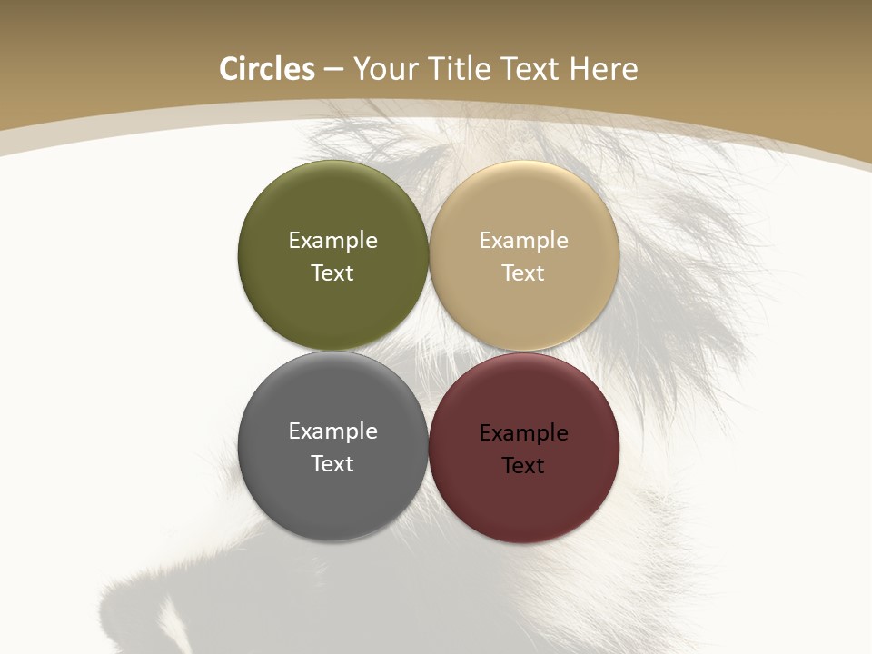 A Skunky Skunky Skunky Skunky Skunky PowerPoint Template